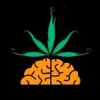 channels4_profile (30)