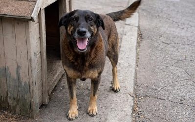 https__img5.migalhas.com.br__SL__gf_base__SL__empresas__SL__miga__SL__imagens__SL__2026__SL__01__SL__26__SL__cropped_t1fd5trq.443.png._PROC_CP65